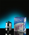 thumb_full_Orchid